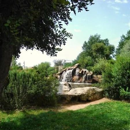 Martini Olbia