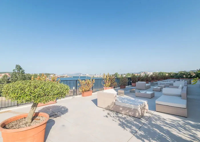 Martini אולביה