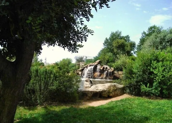 Martini אולביה